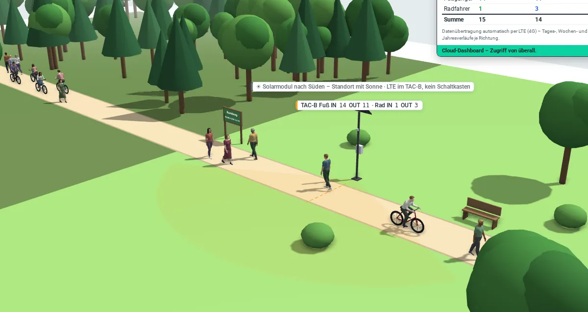 3D-Zählraum: Waldweg